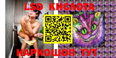 ешки Можга